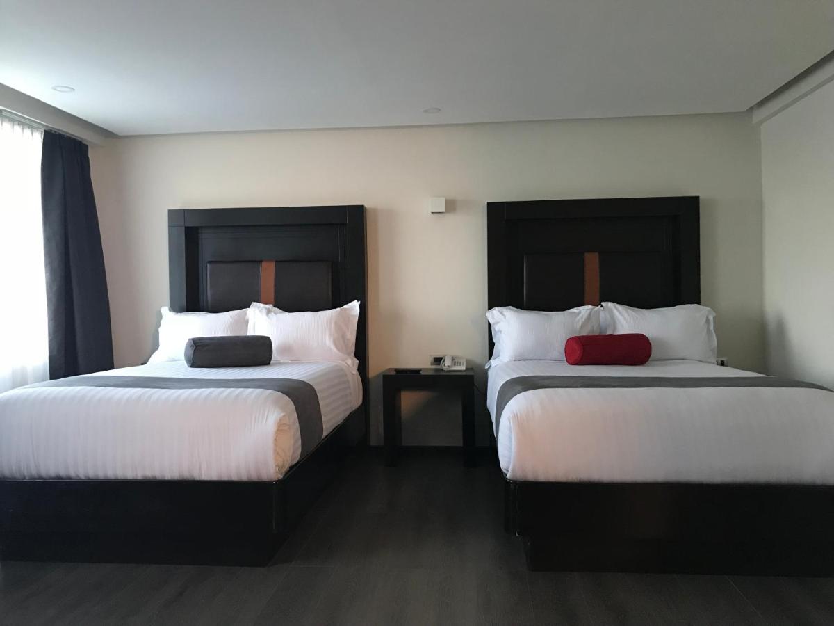 Foto - Best Western Plus Metepec & Suites