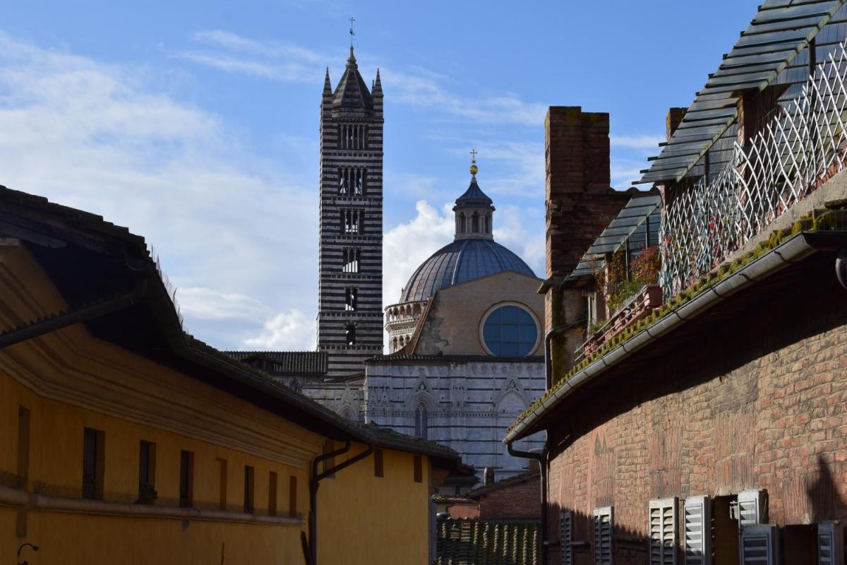 Foto - siena centro, civetta