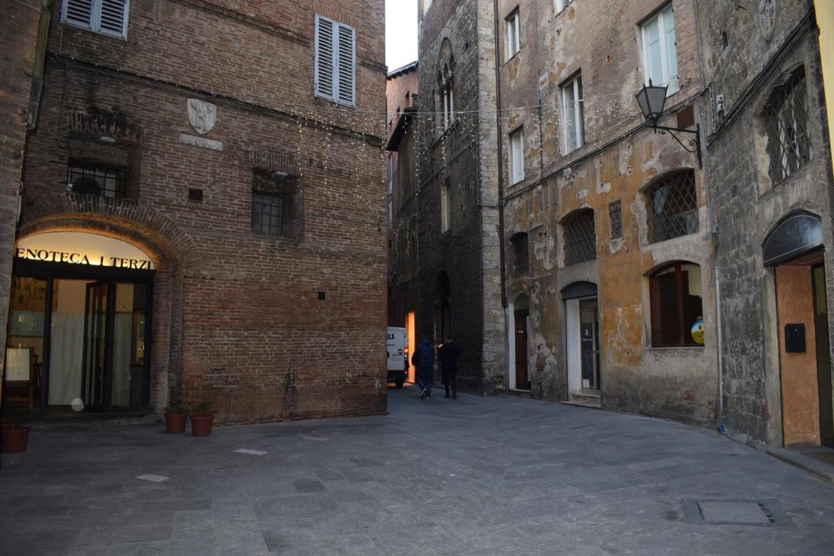 Foto - siena centro, civetta