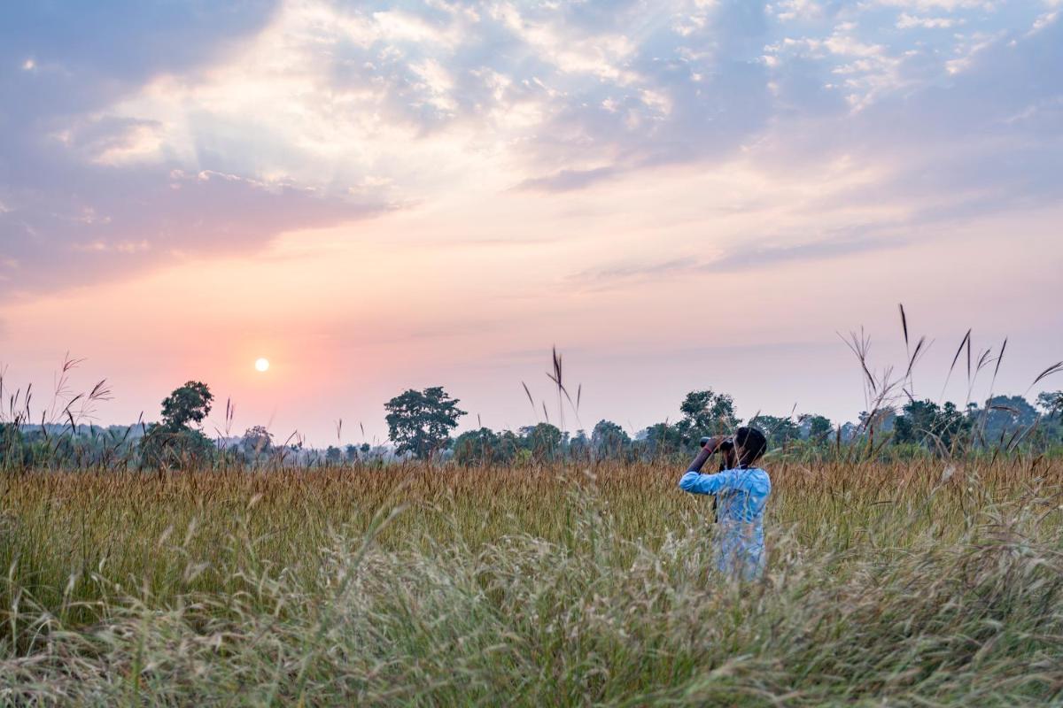 5 Star Resorts In BandhavgarhNationalPark Book from 9 Stay Options