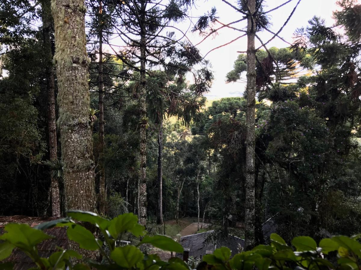 Photo - Casa de Campos Guest House