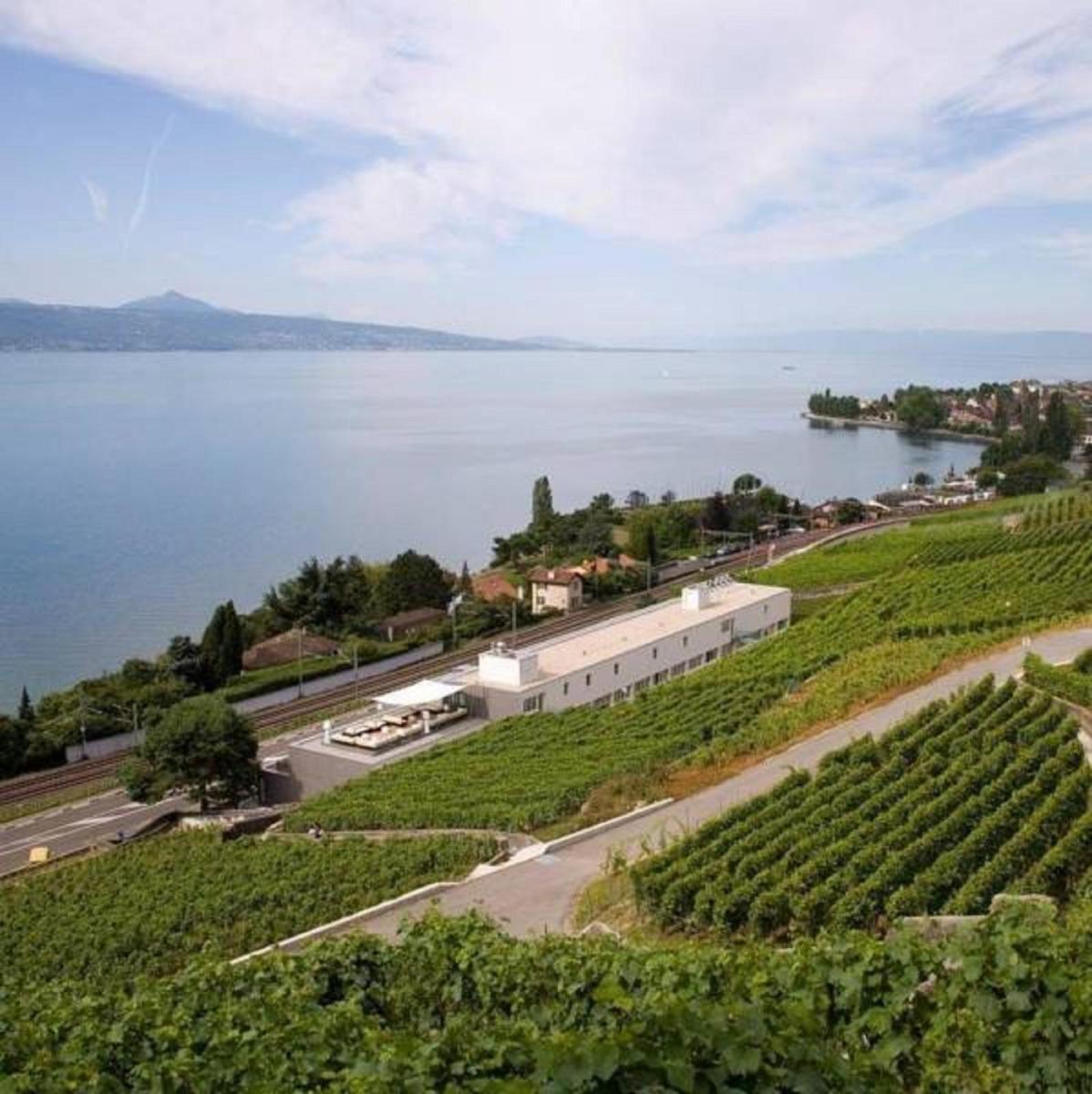 Photo - Hotel Lavaux