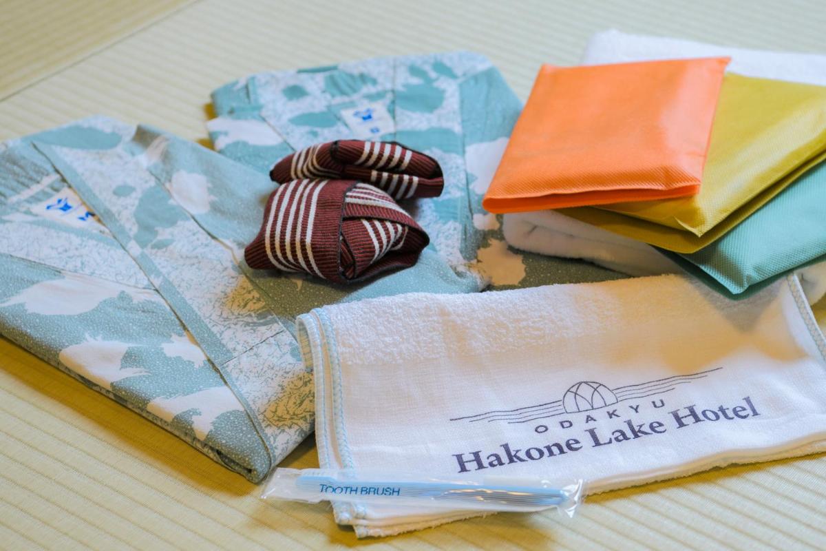 Photo - Hakone Lake Hotel