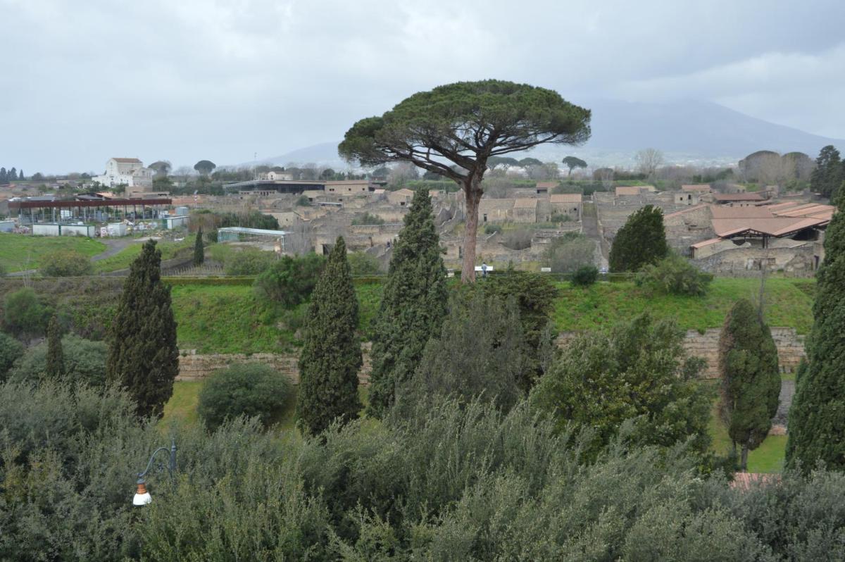 Foto - Il vecchio Fauno