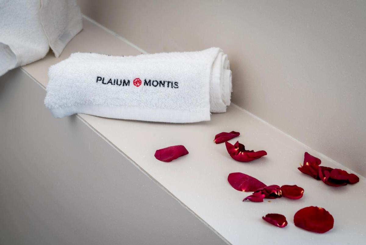 Foto - Plaium Montis