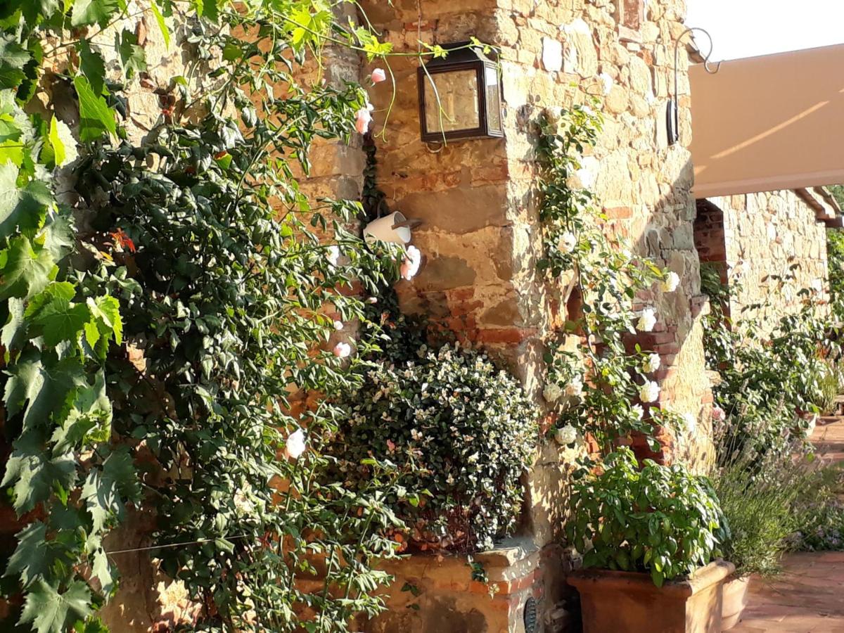 Foto - Podere Pievina Delle Corti - Dimora di Campagna