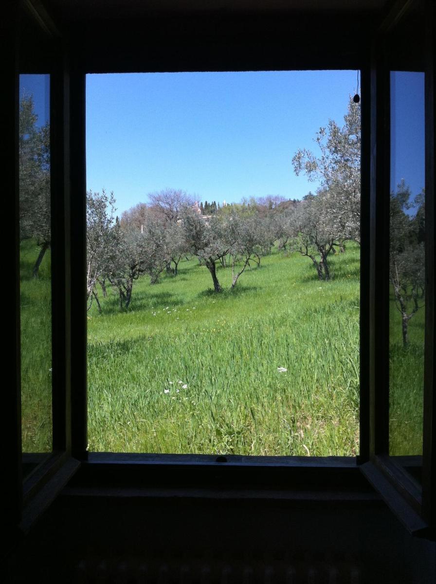 Foto - All'Ombra di San Damiano