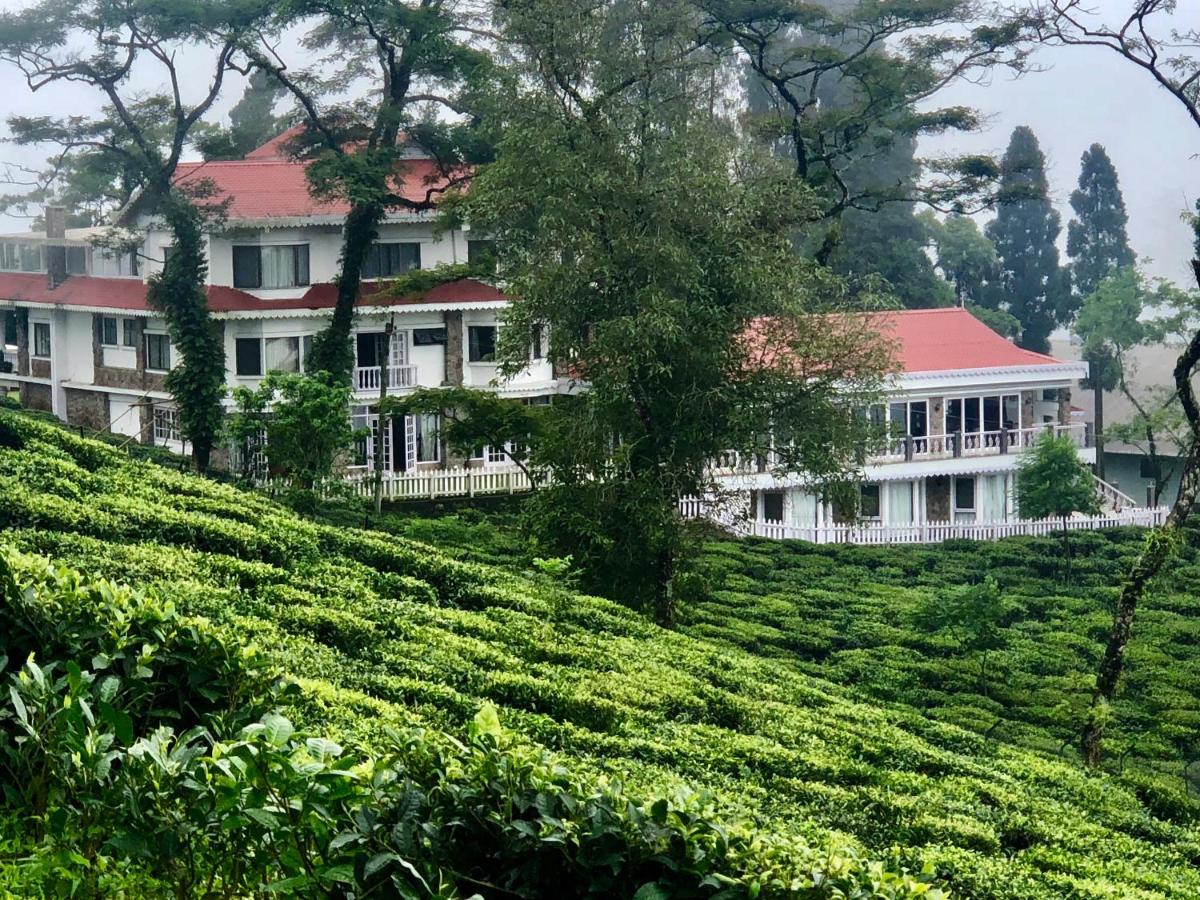 darjeeling tea estate tour