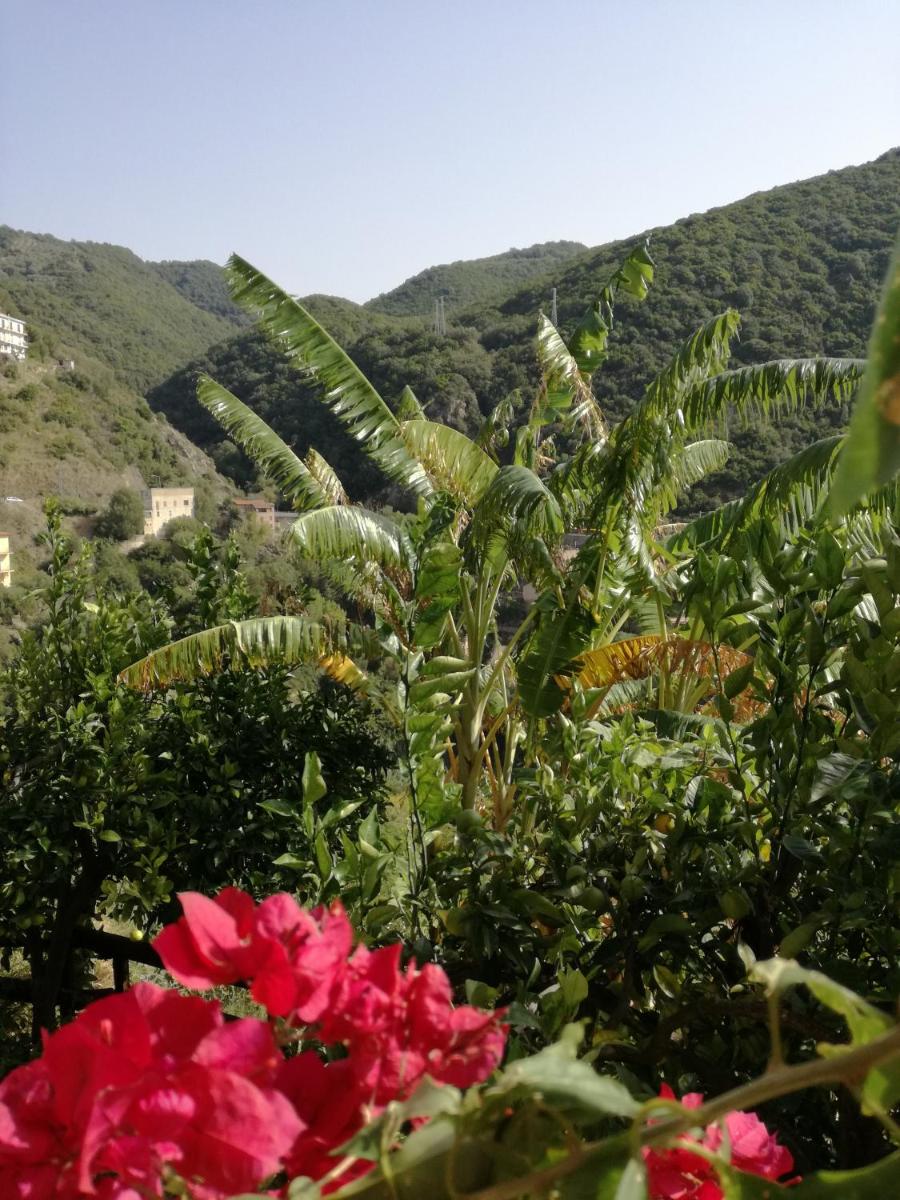 Foto - La Casa sul Blu Albergo Diffuso