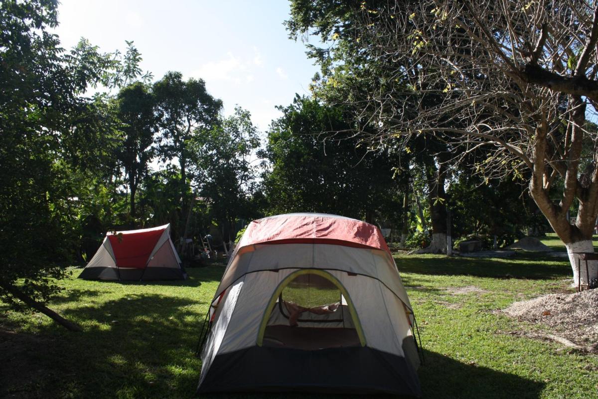 Foto - Yaxche Centro Hostal y Camping