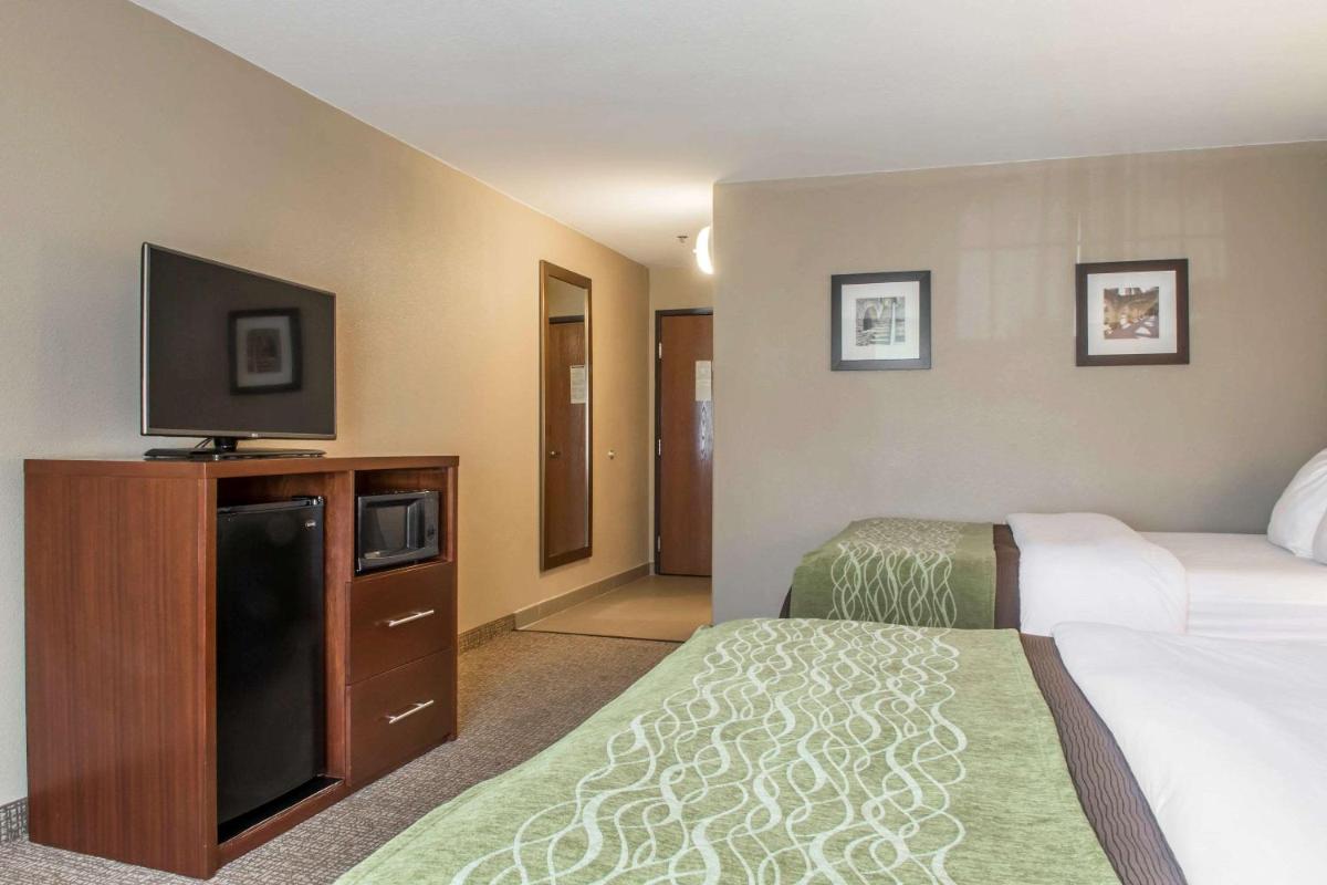 Photo - Comfort Inn Edinburg South