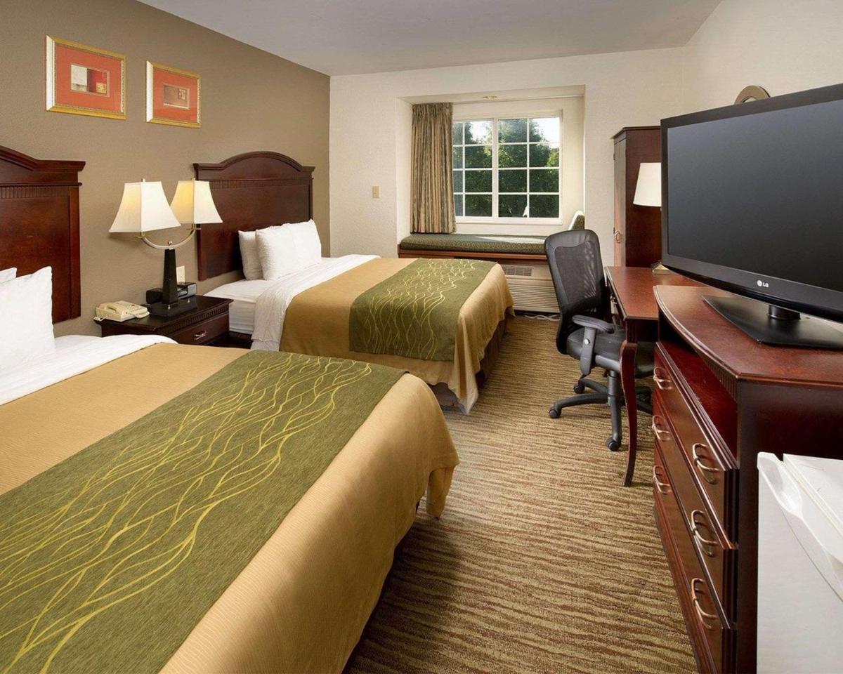 Photo - Comfort Inn & Suites Airport Dulles-Gateway