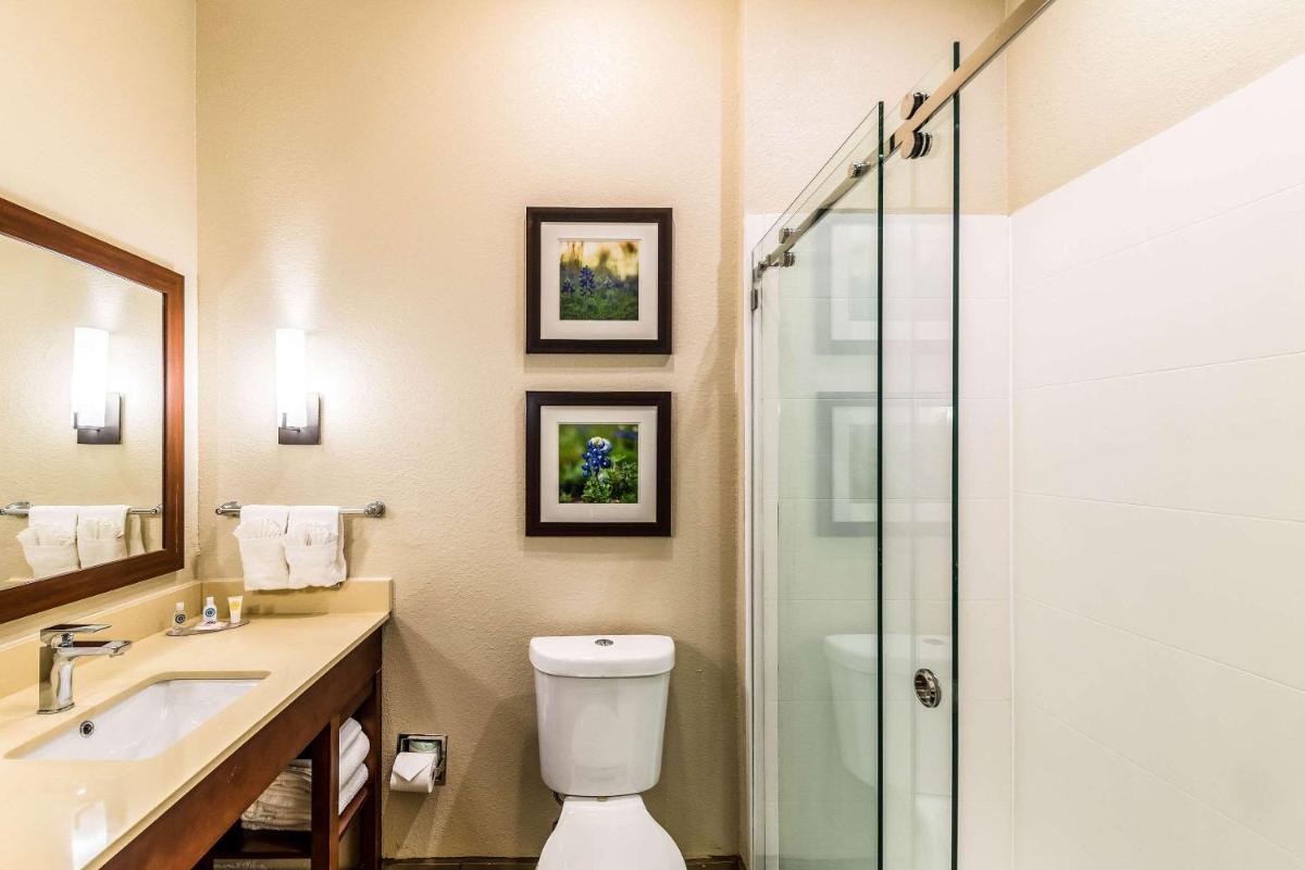 Photo - Comfort Suites Grand Prairie - Arlington North