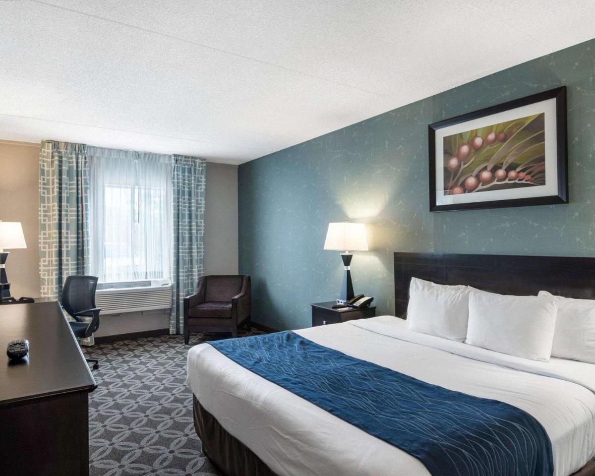 Photo - Comfort Inn - Rehoboth