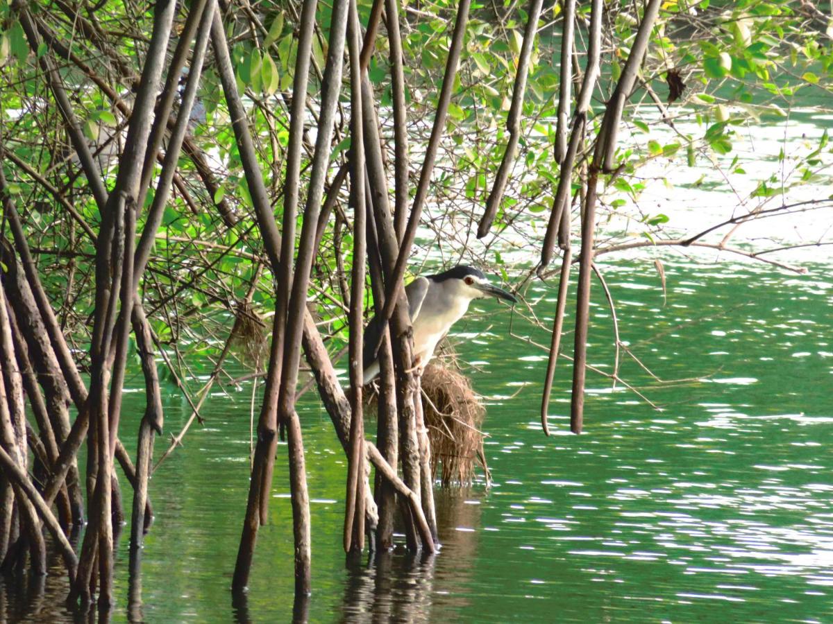 Photo - Beach Lagoon Guesthouse