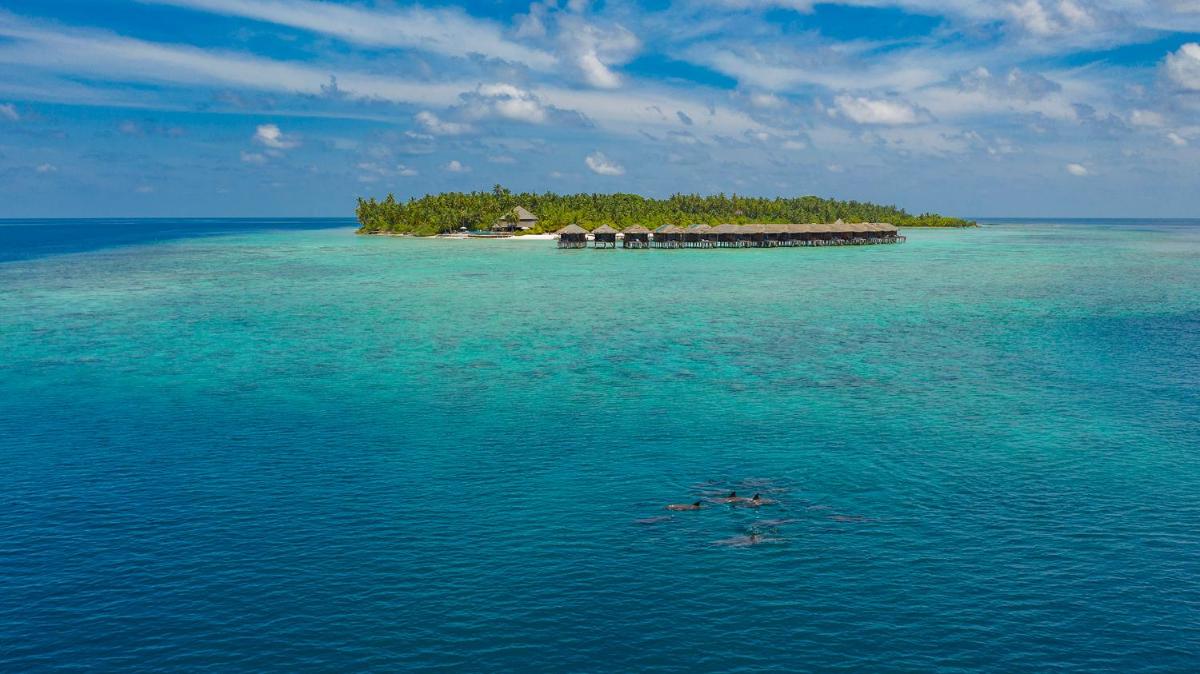 Filitheyo Island Resort photo 2