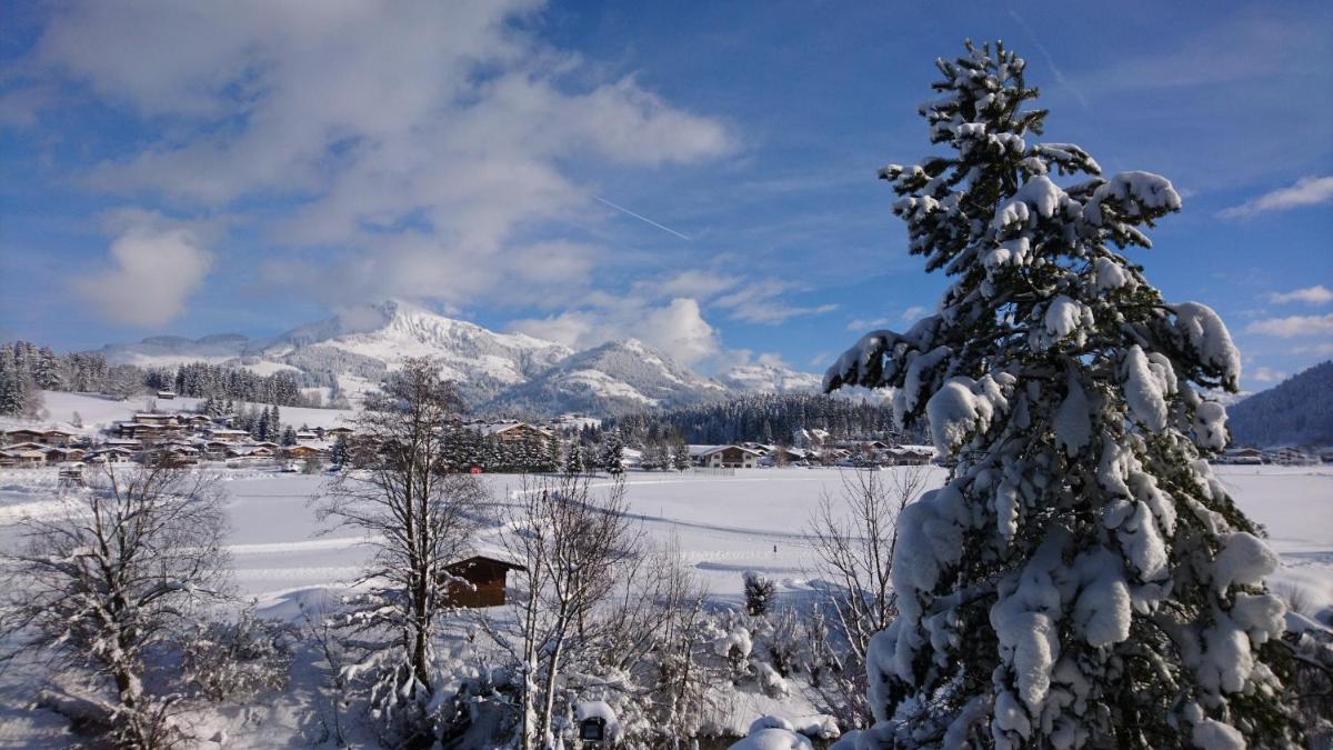 Photo - Hotel Garni Zimmermann