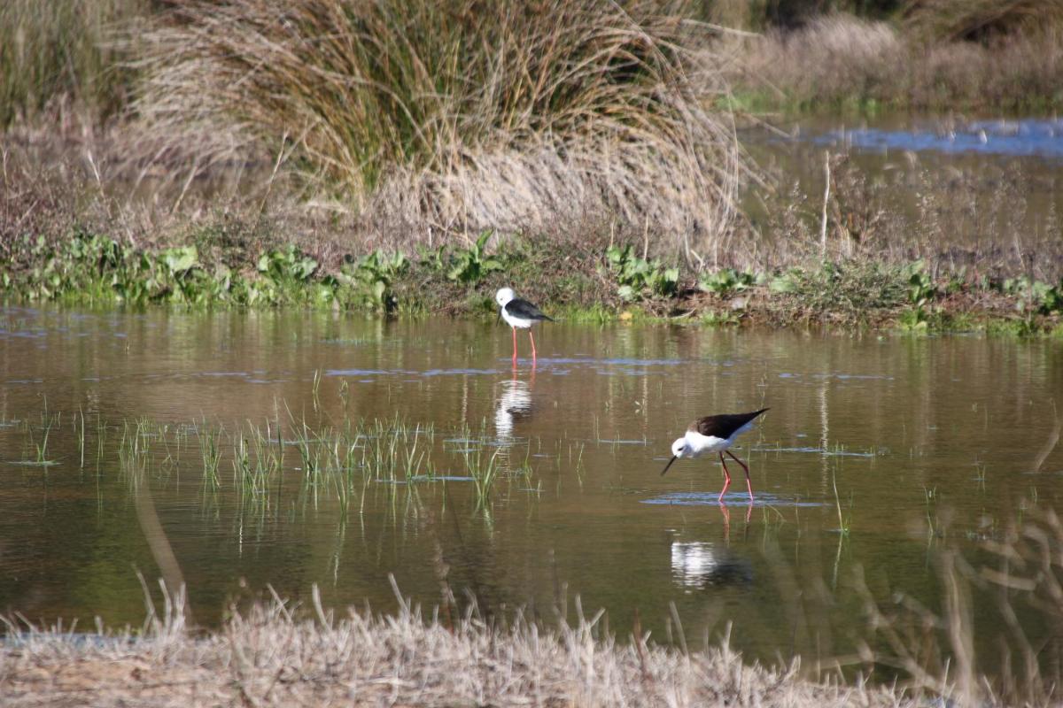 Foto - Hotel Burgau Turismo de Natureza