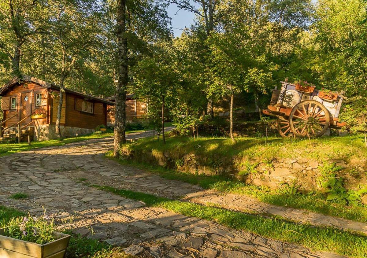 Foto - Cabañas de Madera Sanabria