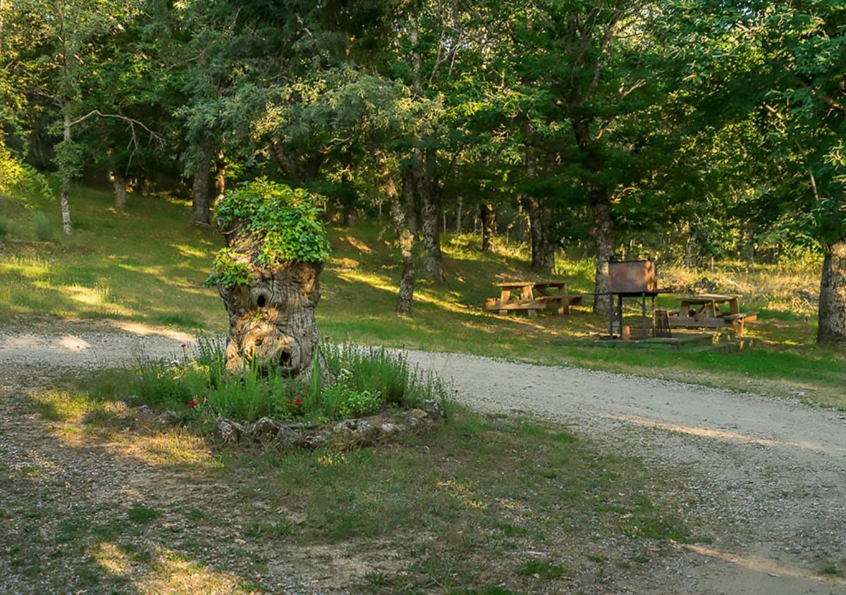 Foto - Cabañas de Madera Sanabria