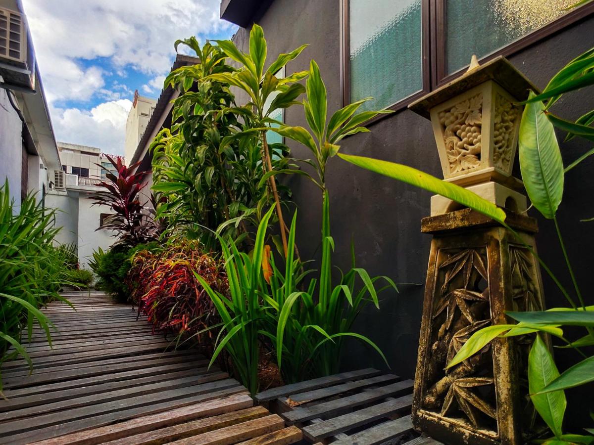 Photo - Beds In Garden Hostel