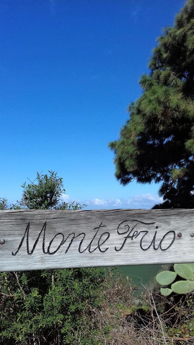 Photo - Monte frio de Tenerife