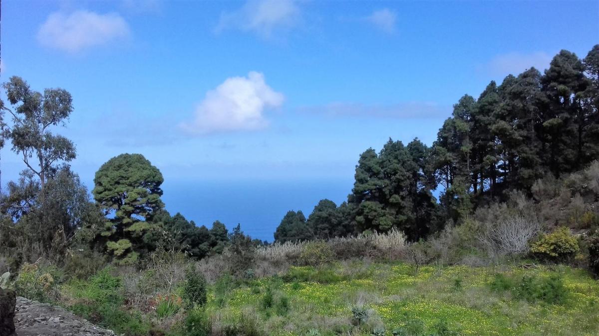 Photo - Monte frio de Tenerife