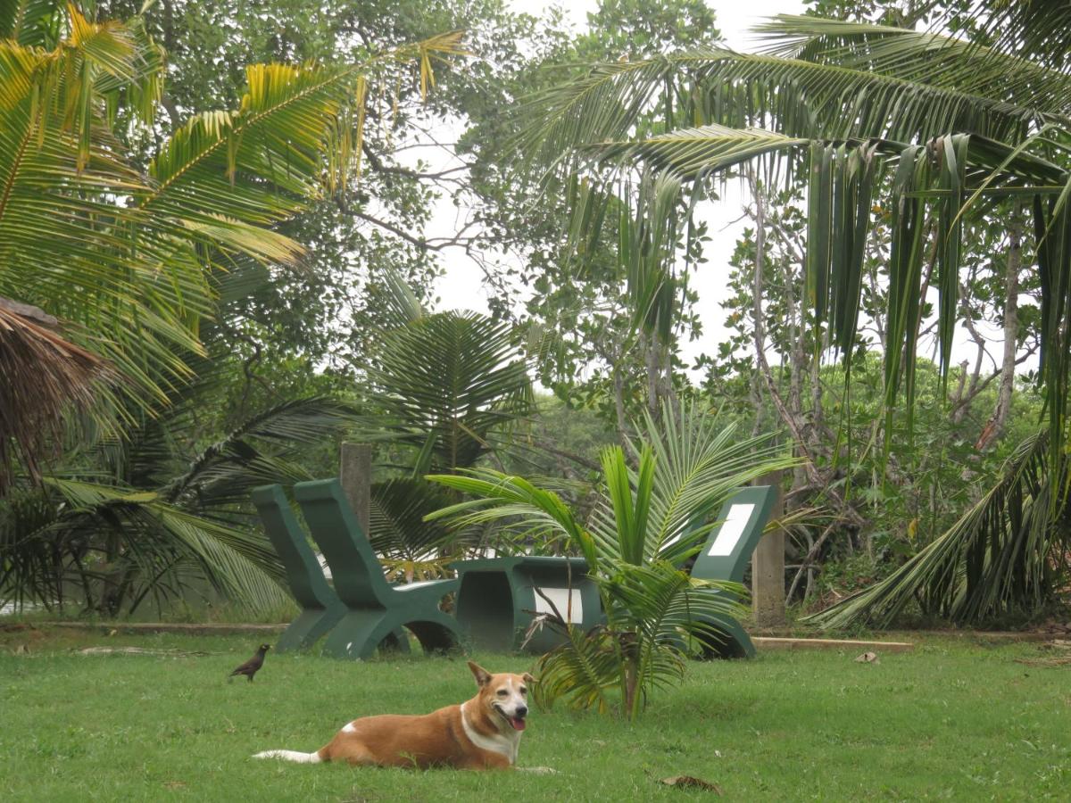 Foto - Beach Lagoon Guesthouse