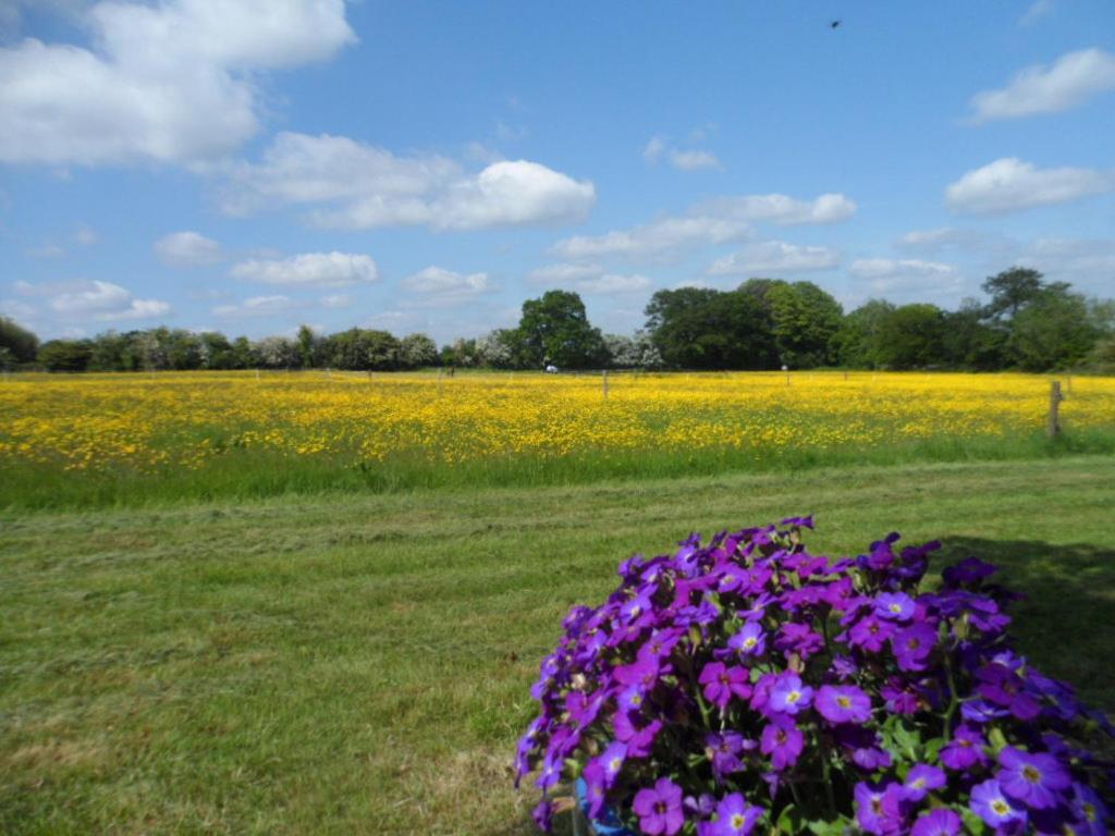 Photo - The Stables - Deer Park Farm