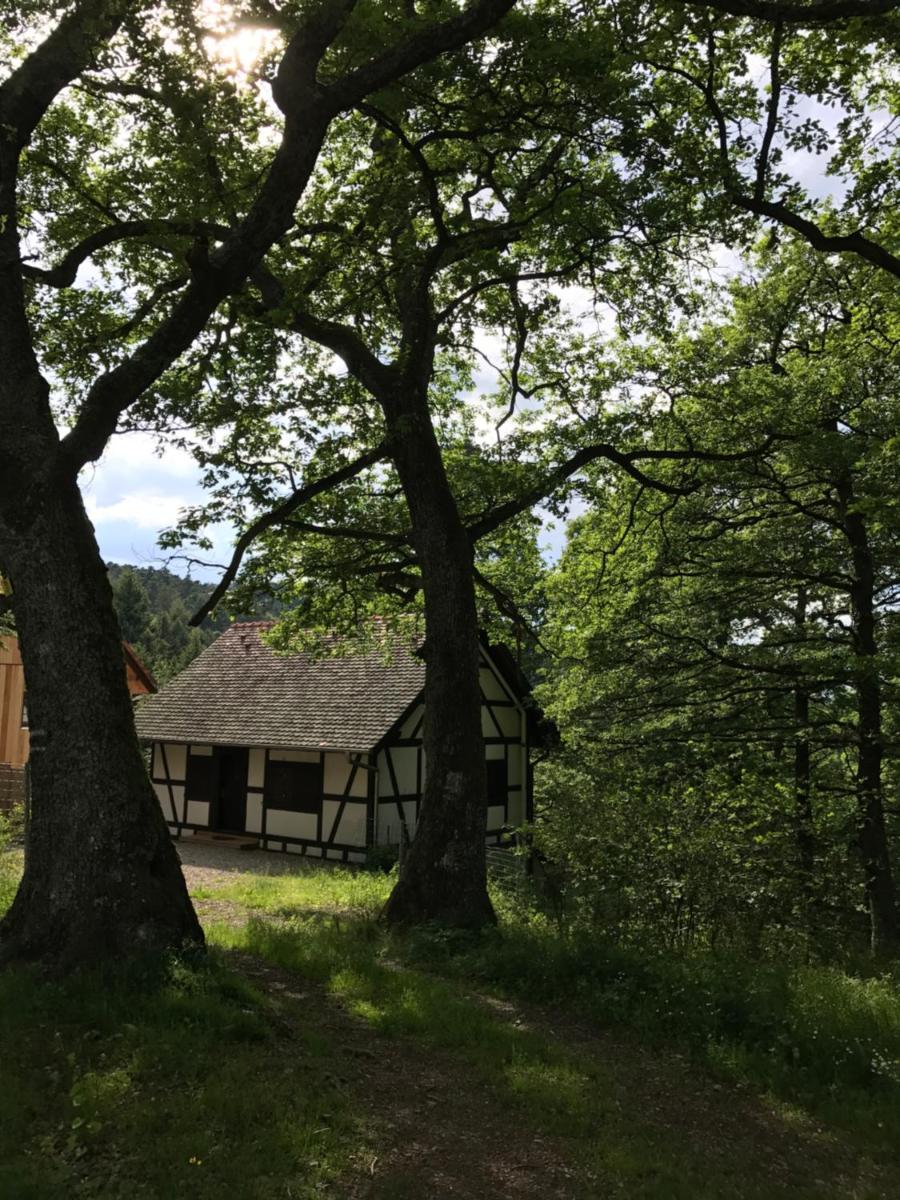 Foto - Logis Du Haut-Koenigsbourg