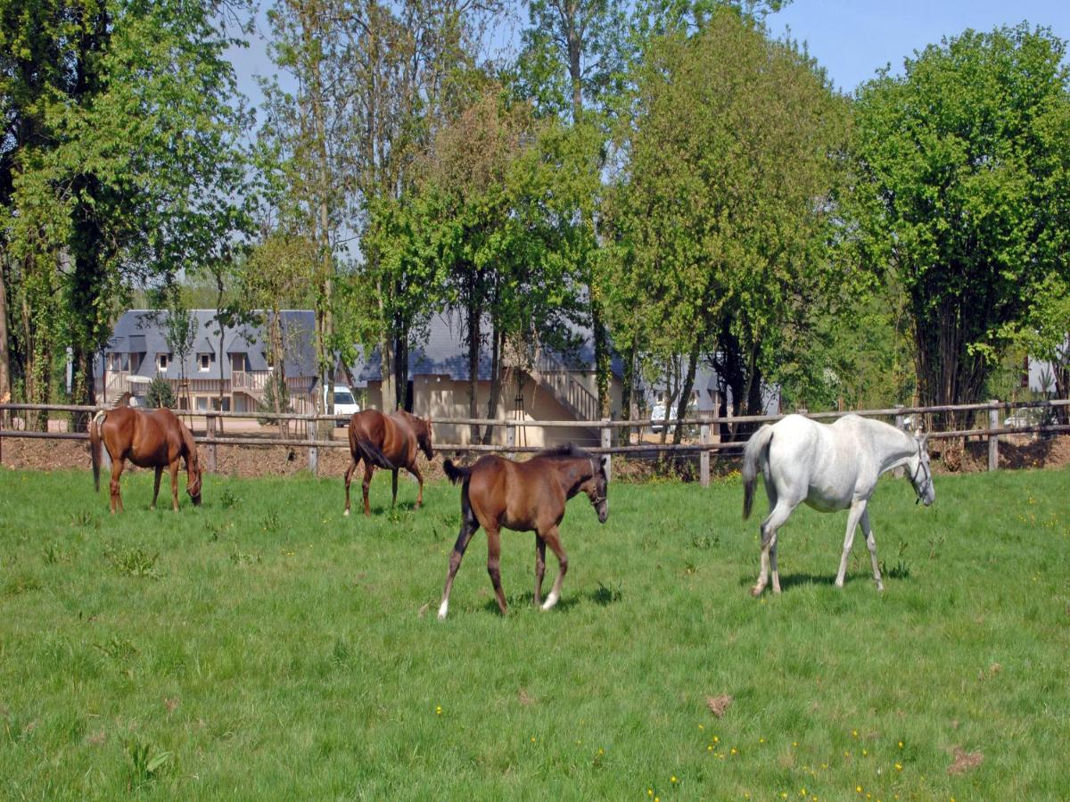 Foto - Les Manoirs de Tourgéville