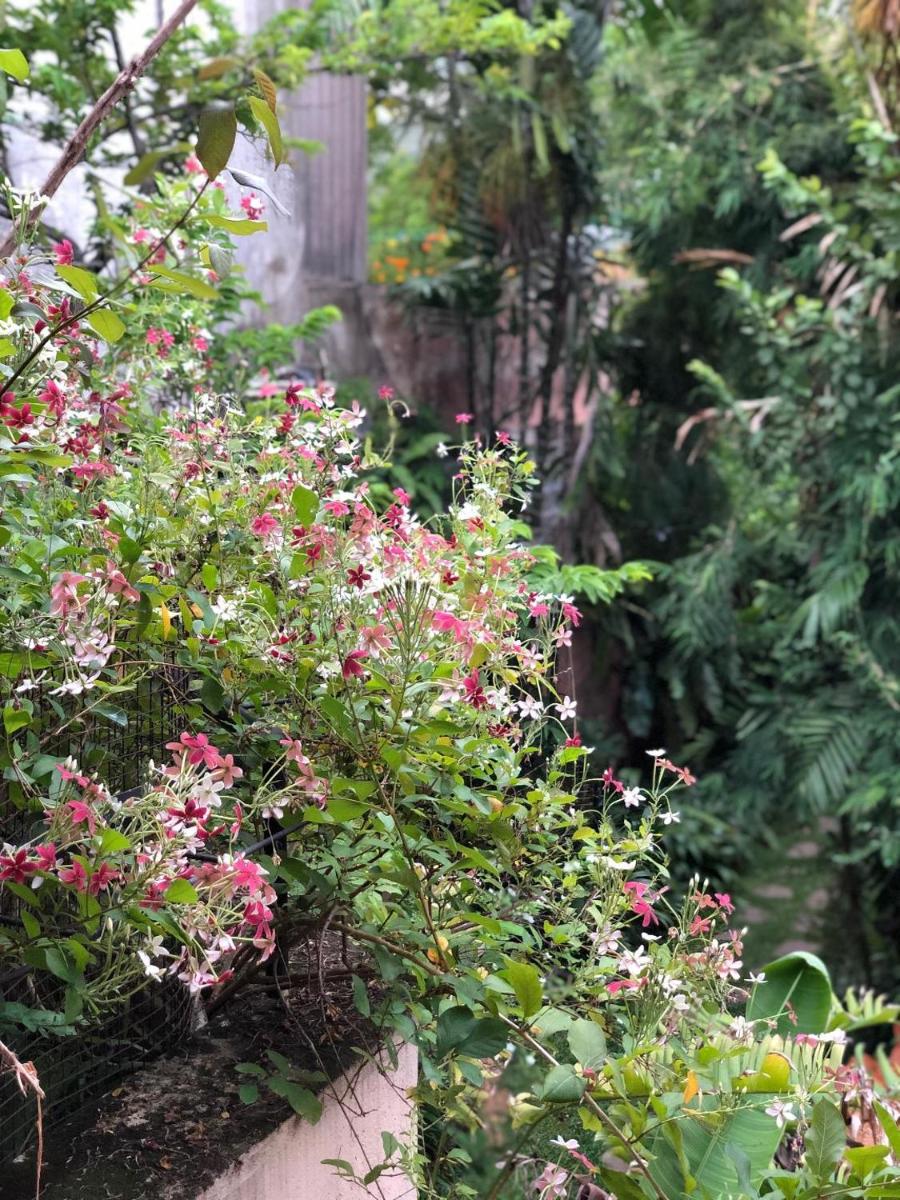 Foto - Highbury Colombo