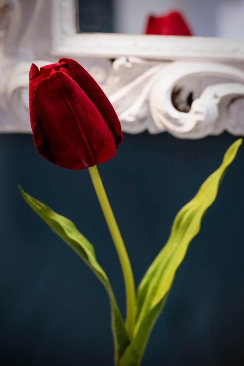 Foto - Guesthouse Bonjardim Suites by LovelyStay