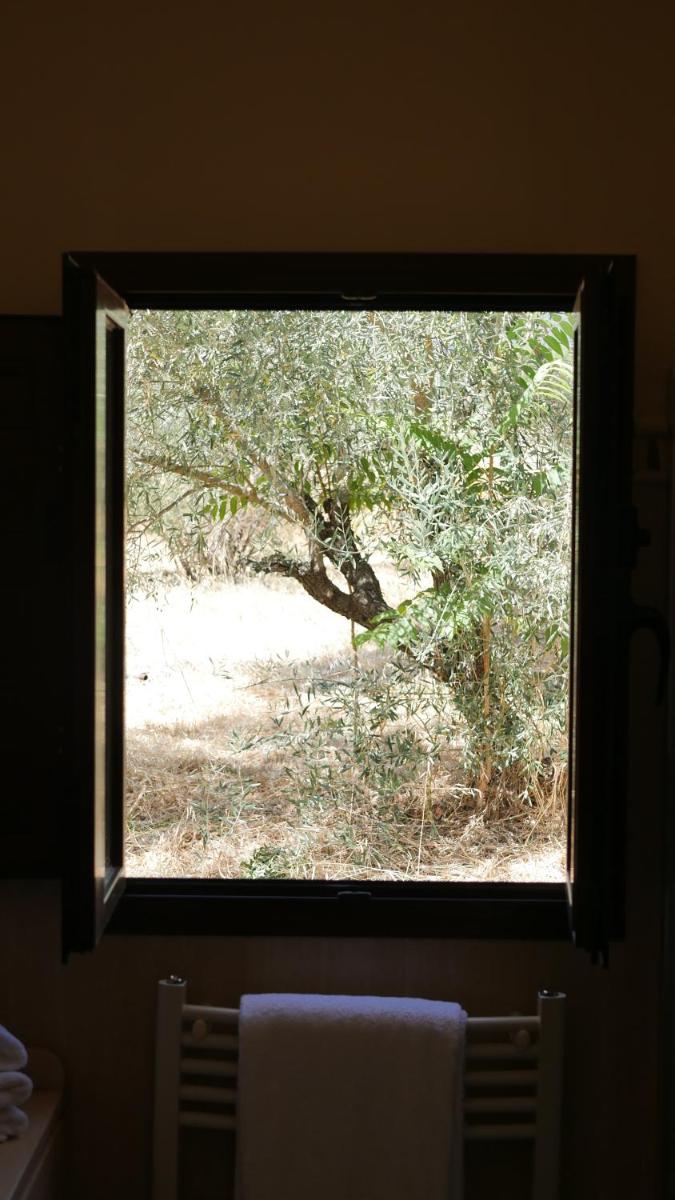 Foto - La Perla Blanca - Ronda