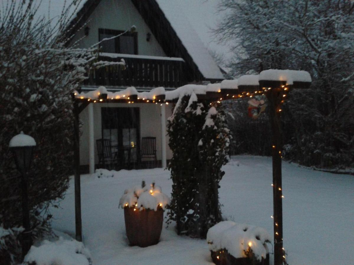 Foto - Haus Kollwitzweg - Ferienwohnungen