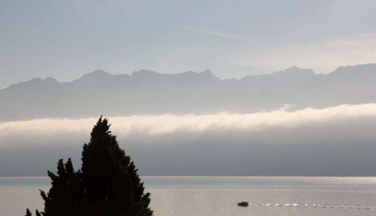 Photo - Hotel Lavaux