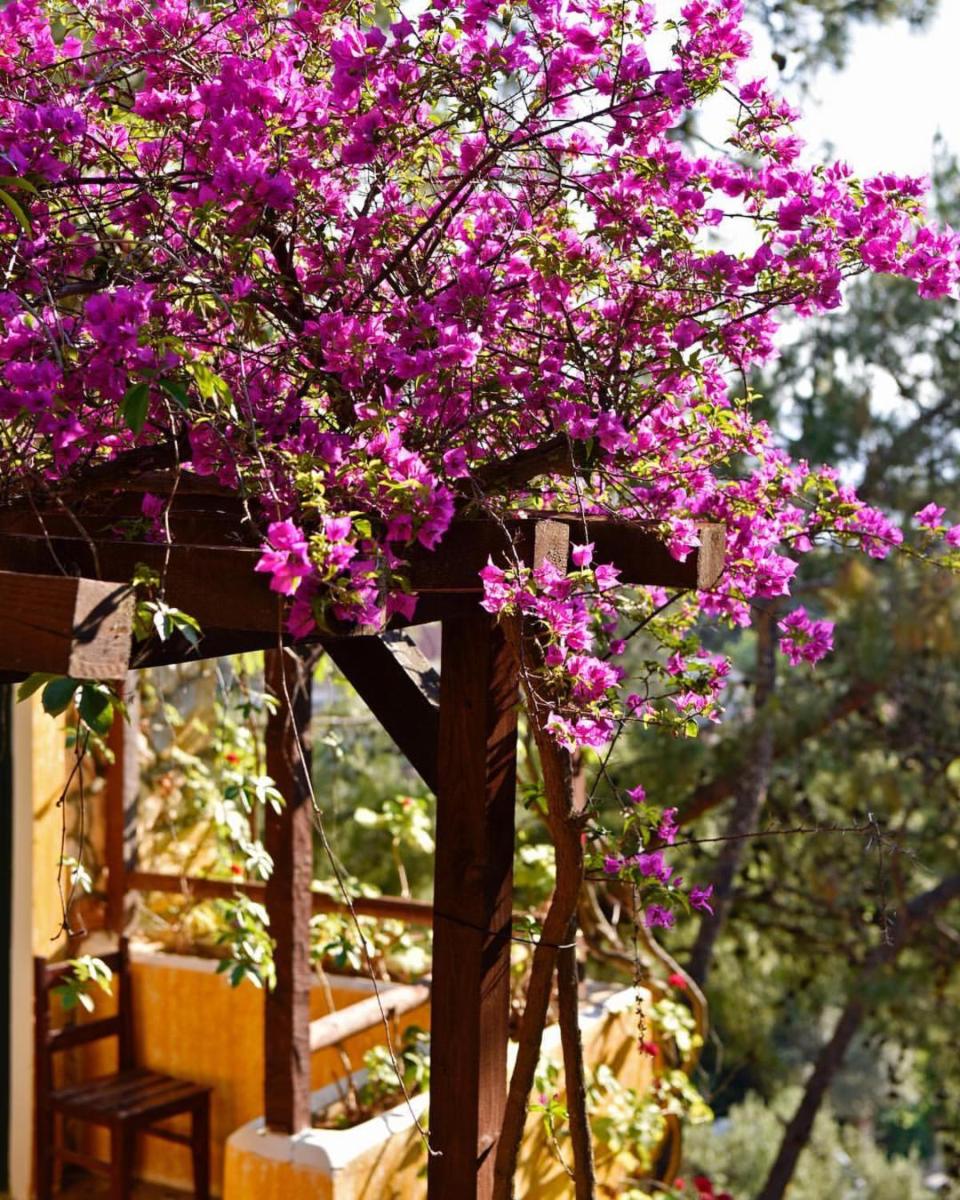 Photo - Symbola Oludeniz Beach Hotel