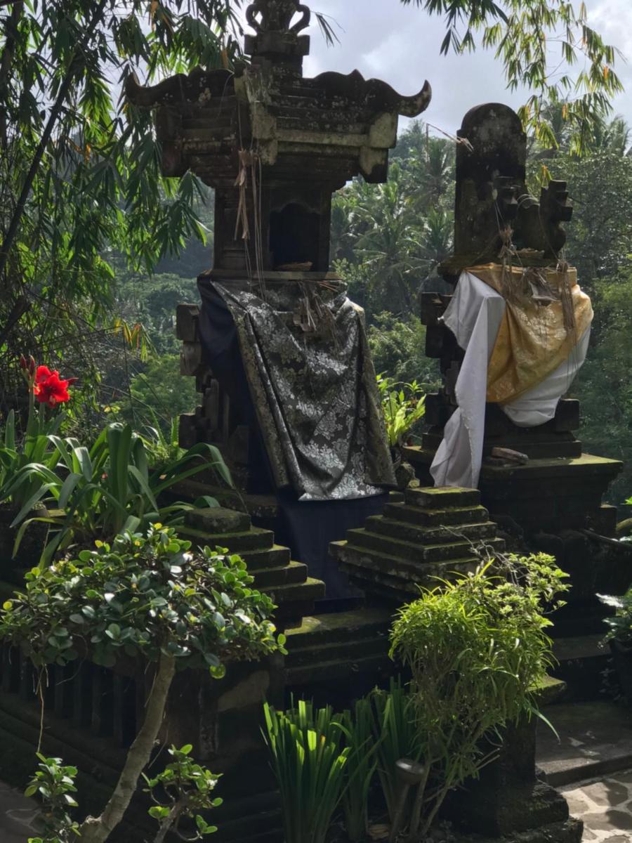 Foto - Bali Villa Djodji