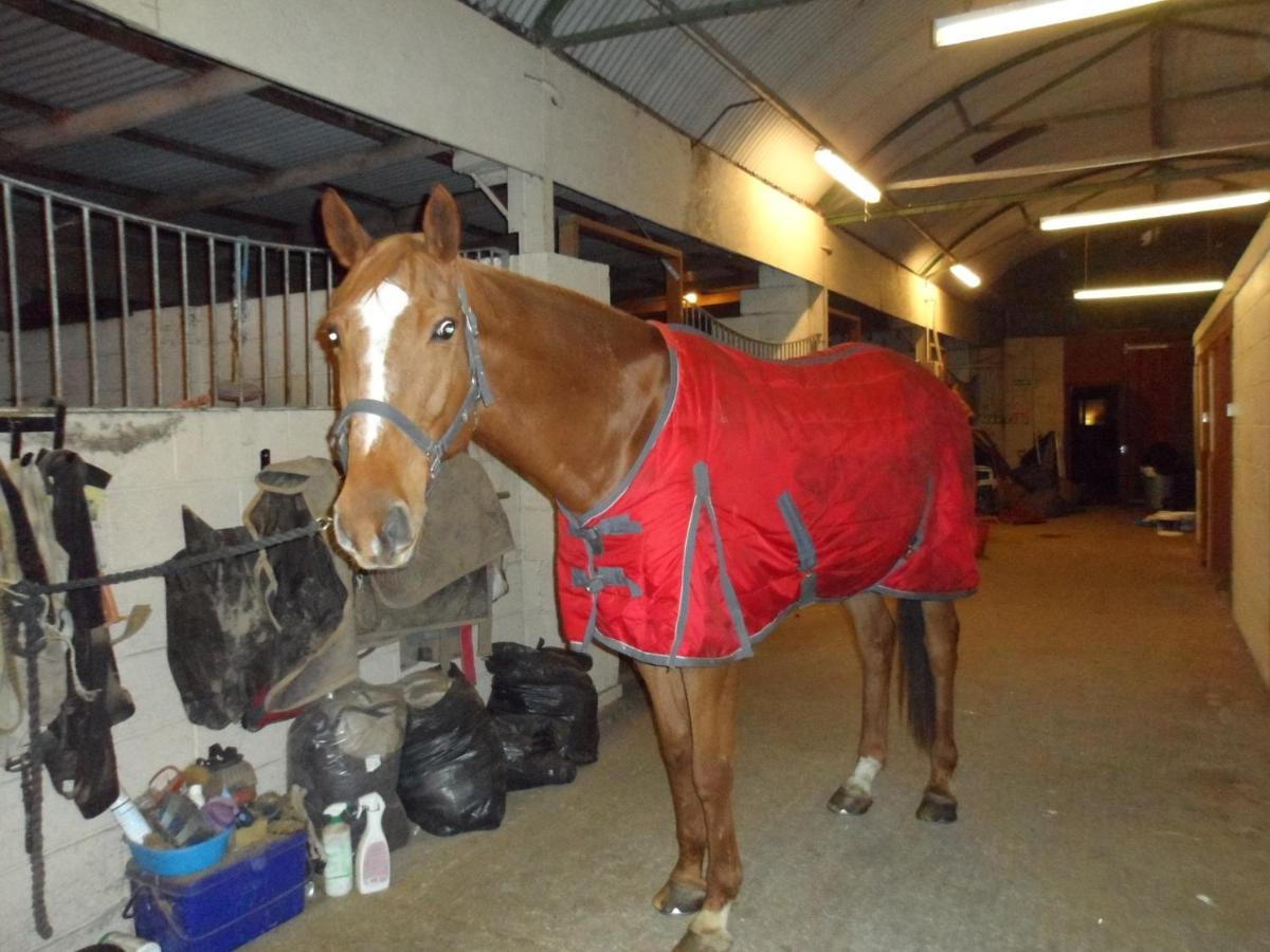 Photo - The Stables - Deer Park Farm