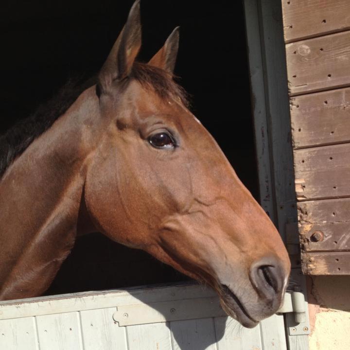 Foto - The Stables - Deer Park Farm