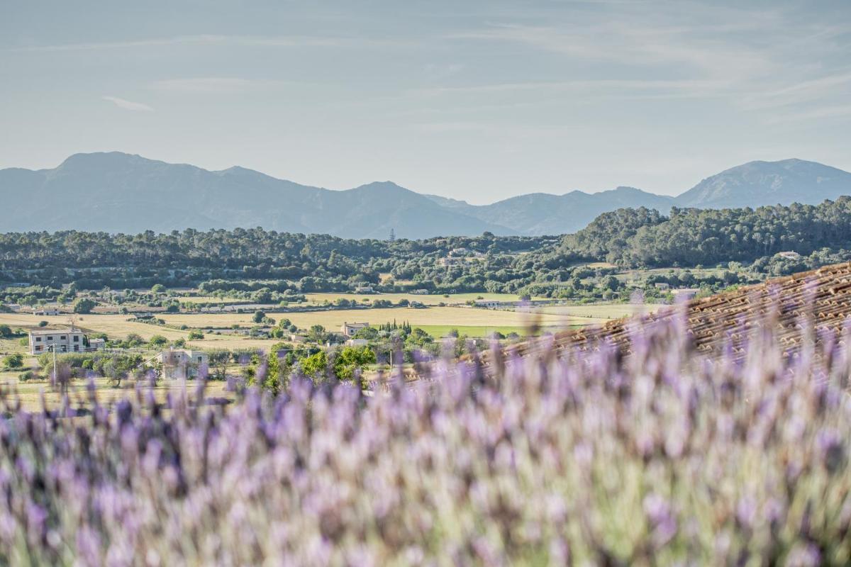 Foto - Agroturismo sa Rota d' en Palerm