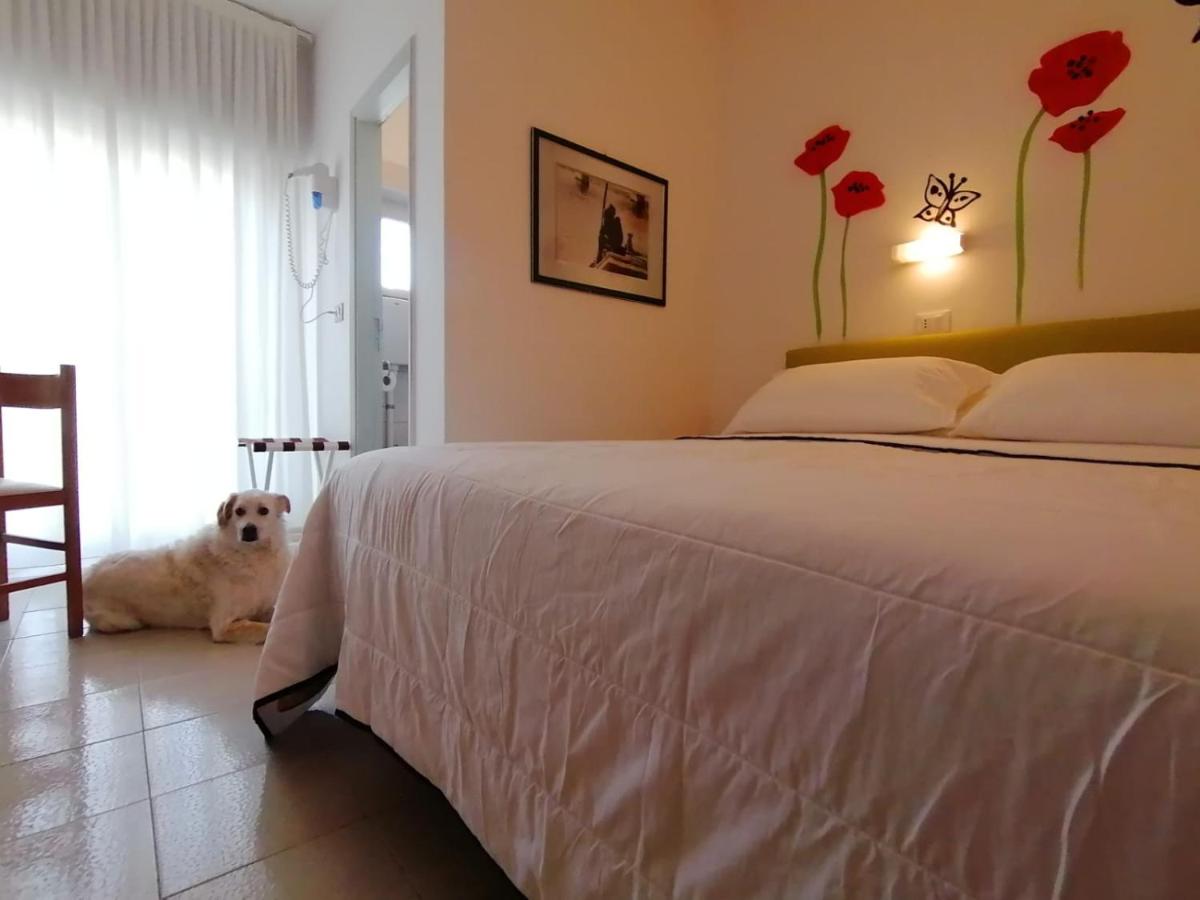 Photo - Kristalex Pet Family Hotel