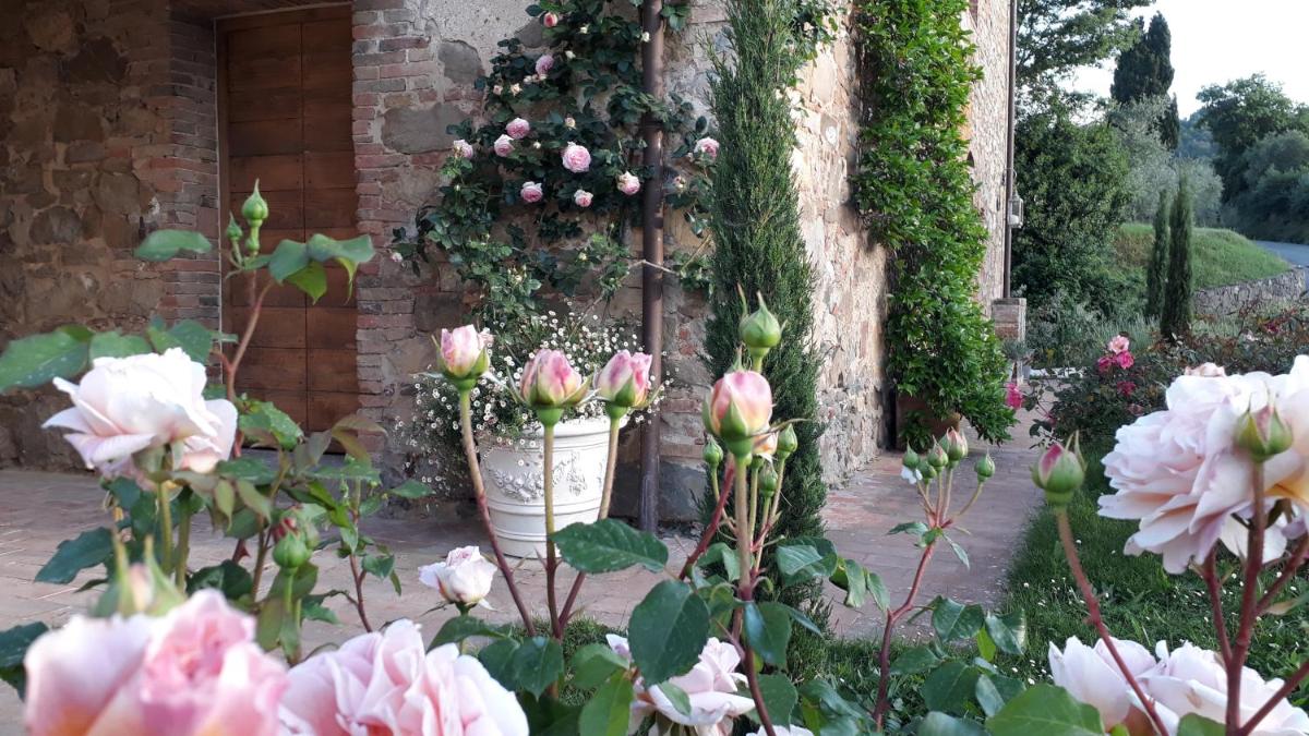 Photo - Podere Pievina Delle Corti - Dimora di Campagna