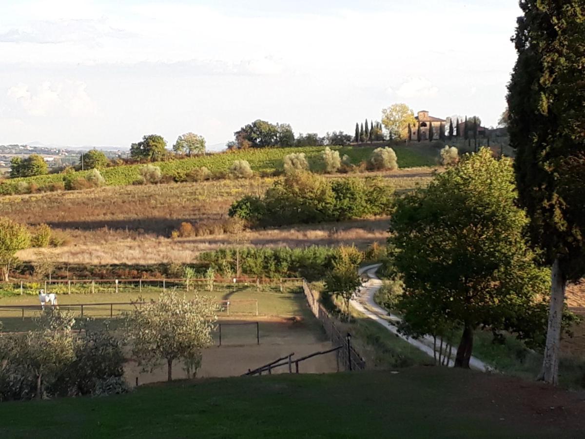 Foto - Podere Pievina Delle Corti - Dimora di Campagna