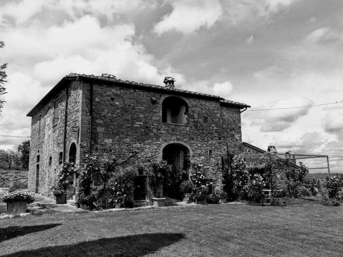 Photo - Podere Pievina Delle Corti - Dimora di Campagna