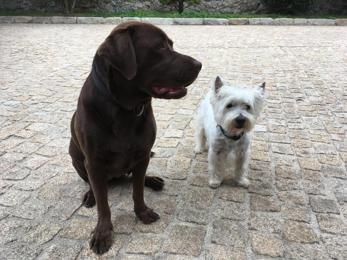 Photo - BERGUI Guesthouse - Guimarães