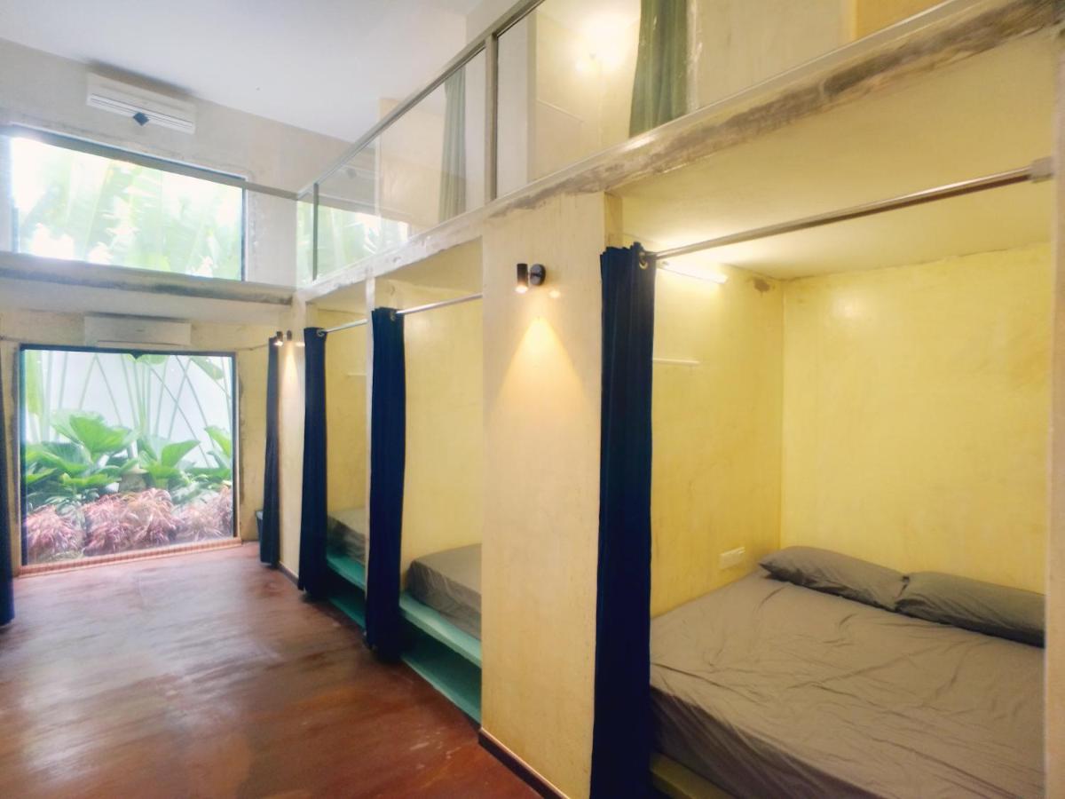 Photo - Beds In Garden Hostel