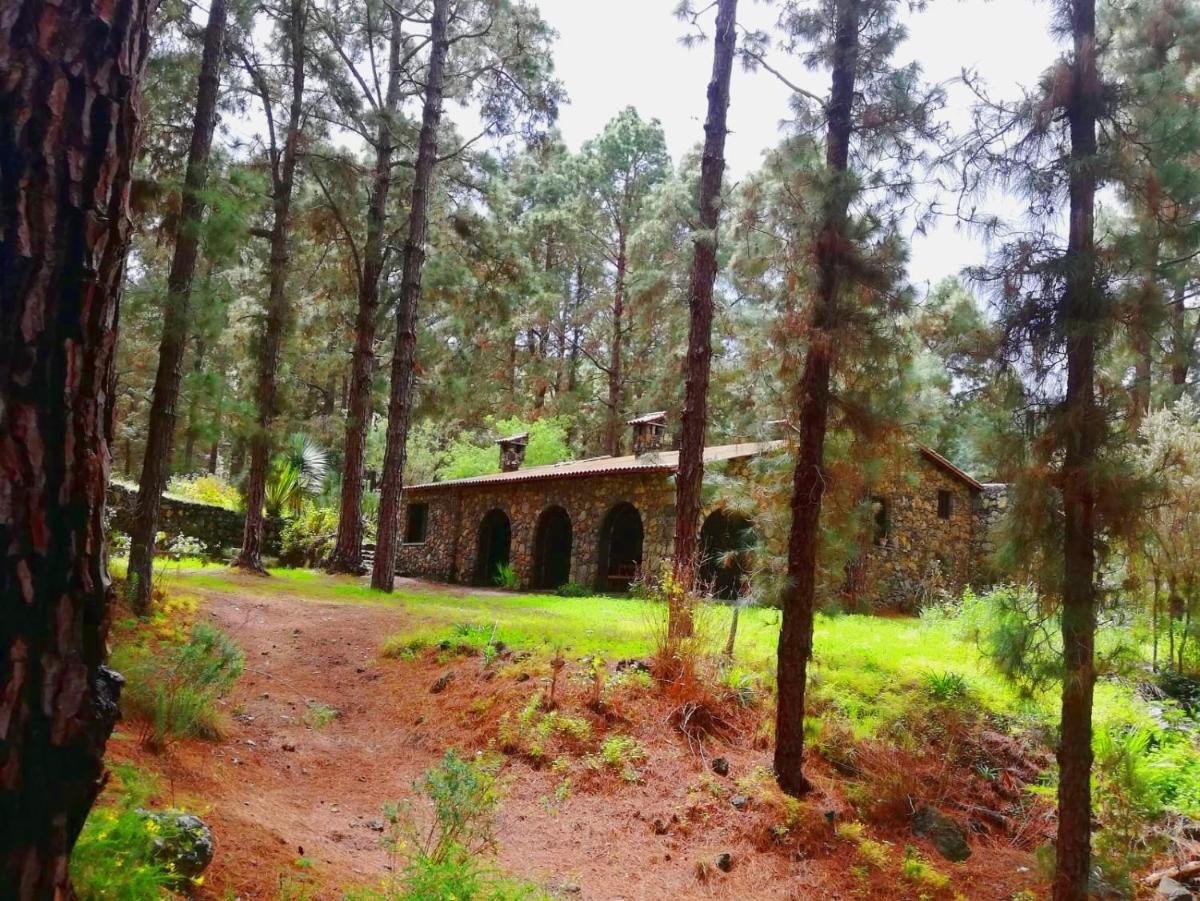 Foto - Monte frio de Tenerife