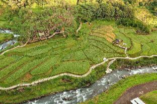 Foto - Le Eminence Puncak Hotel Convention & Resort