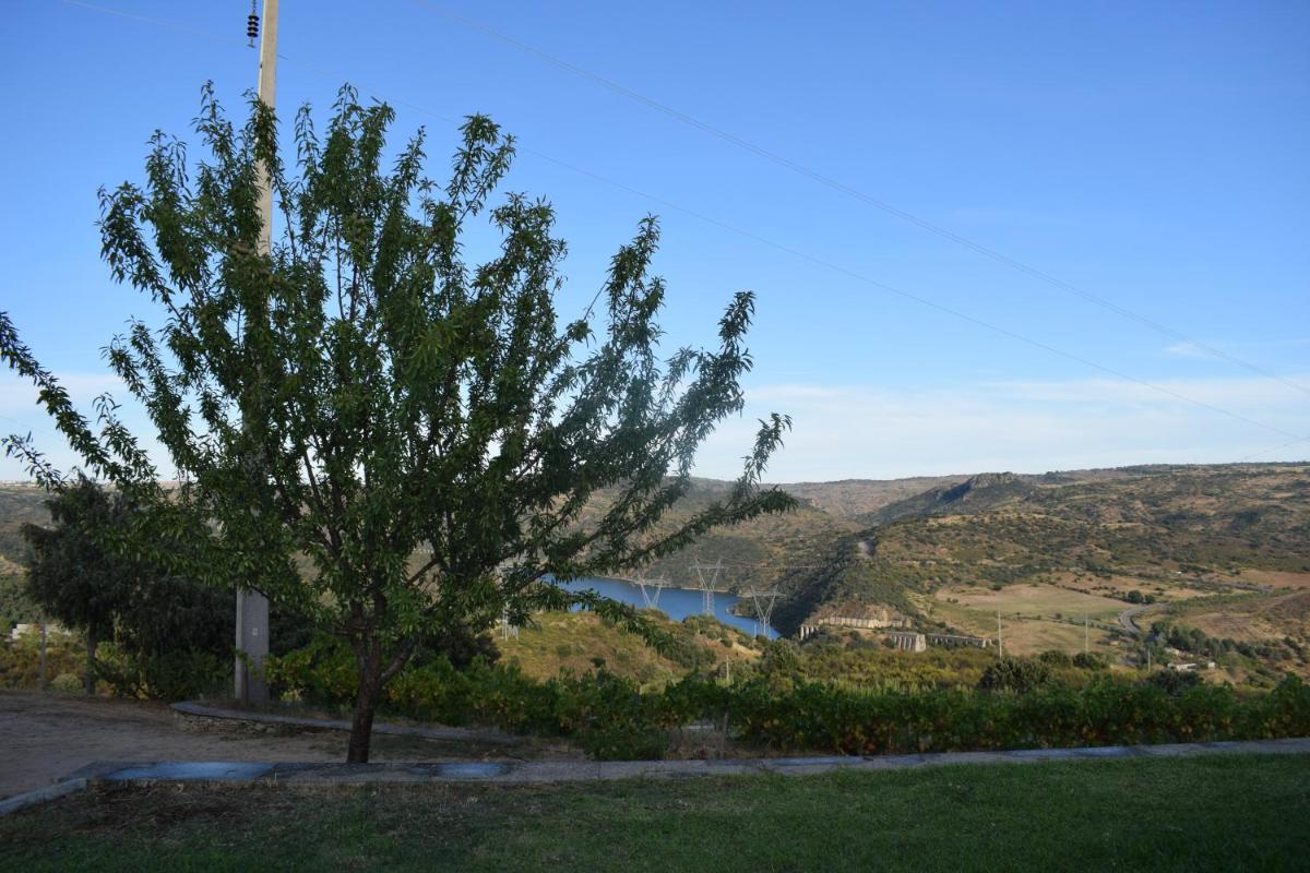 Foto - Douro Natura